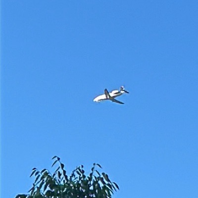 N321EJ Dassault Falcon 2000 Talon Air, FRG → HPN, 13 Jun 2026, photographed by Slimee
