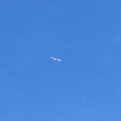 TC-NDE Airbus A321neo Ajet, STN → SAW, 8 Oct 2026, photographed by SALT
