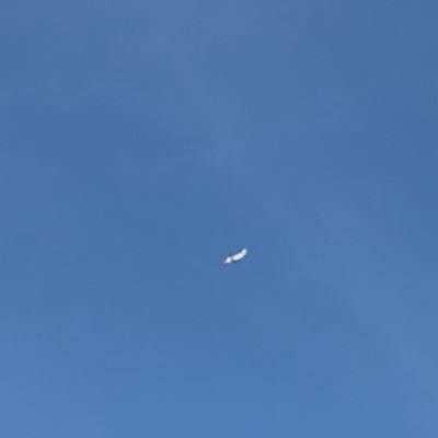 SE-RTG Boeing 737 MAX 8 Norwegian Air Norway, HAM → ARN, 11 Sept 2026, photographed by August M