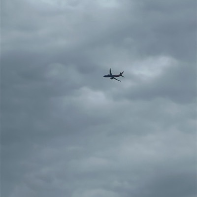 N8891Q Boeing 737 MAX 8 Southwest Airlines, ISP → BWI, 22 Jun 2026, photographed by Ethanthegreatplanespoter