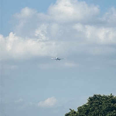 TC-JNP Airbus A330-300 Turkish Airlines, IST → BKK, 29 Sept 2026, photographed by Napat Wilawan