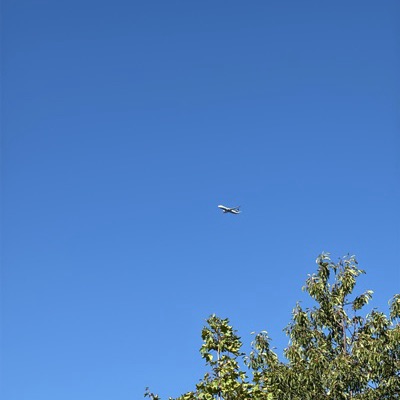 9H-QDI Boeing 737-800 Malta Air, EDI → PRG, 6 Sept 2026, photographed by Oliver