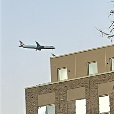 G-ZBLE Boeing 787-10 Dreamliner British Airways, IAH → LHR, 12 Sept 2026, photographed by ItsJoshVibes