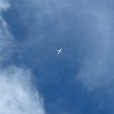 JA04WJ Airbus A350-1000 Japan Airlines, HND → LHR, 18 Jun 2026, photographed by Zachary Corbett