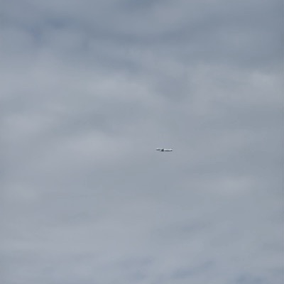 ES-MBD Airbus A320neo Marabu, HAM → HER, 17 Sept 2026, photographed by Idlepants8
