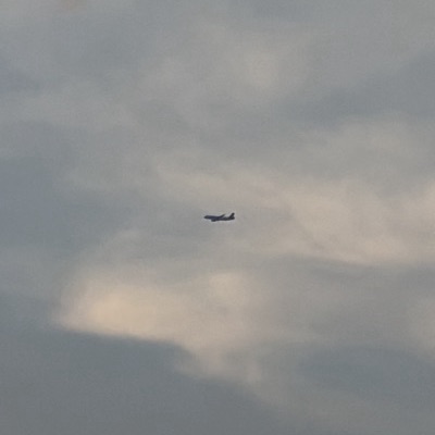 OE-LBS Airbus A320 Austrian Airlines, VIE → MUC, 22 Jun 2026, photographed by Luis