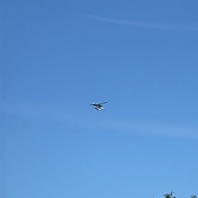 N345F Found FBA-2 Bush Hawk, 11 Jun 2026, photographed by AerospaceAG