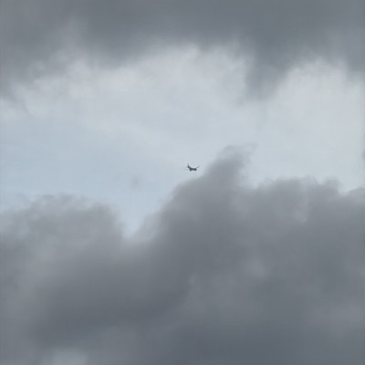 G-TTNY Airbus A320neo British Airways, LHR → BER, 28 Sept 2026, photographed by TC