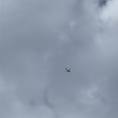 N957AN Boeing 737-800 American Airlines, CLT → CLE, 7 Sept 2026, photographed by Ron
