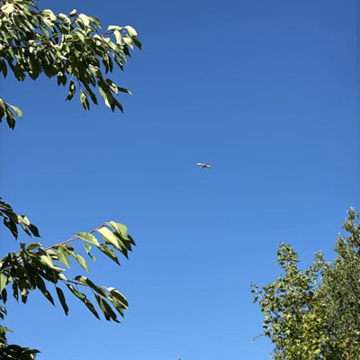 EI-IFT Boeing 737 MAX 8 Ryanair, BRS → PRG, 6 Sept 2026, photographed by India Falcon
