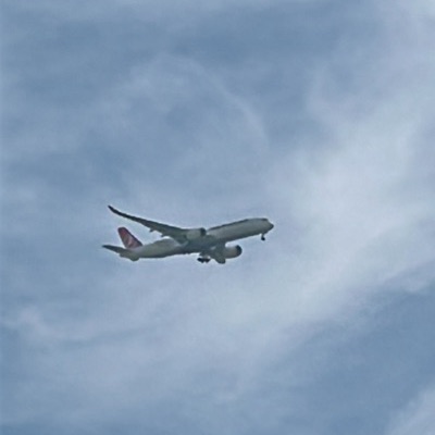 TC-LHC Airbus A350-900 Turkish Airlines, IST → LHR, 25 Sept 2026, photographed by ItsJoshVibes