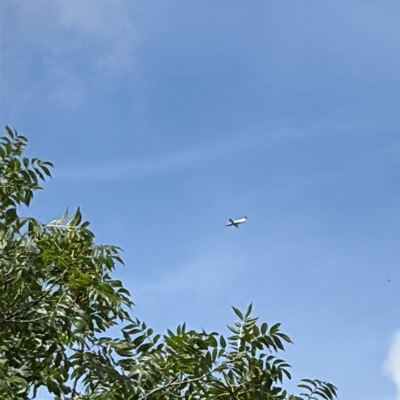 EJ-VAIS Pilatus PC-12 Ei Air Exports, KIR → BQH, 20 Jun 2026, photographed by Spotter 6572