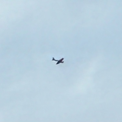 G-GBSD TL Ultralight TL-2000  Sting, EGSX, 8 Oct 2026, photographed by SALT