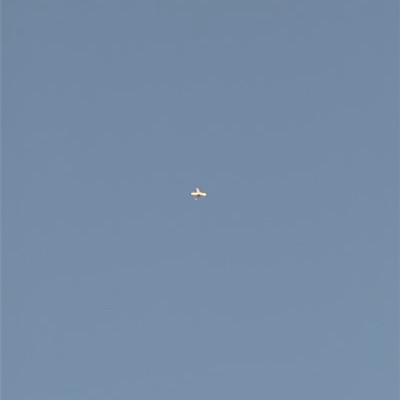 9H-QCQ Boeing 737-800 Ryanair, BRI → CTA, 4 Sept 2026, photographed by Midnight Charlie