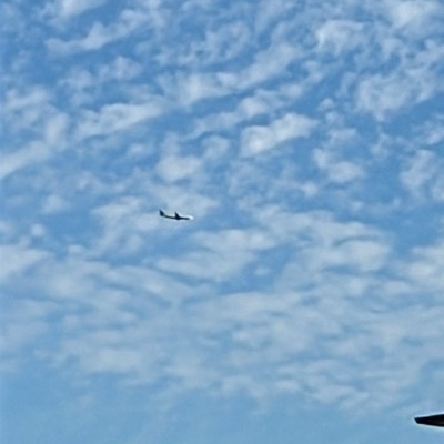 N816NW Airbus A330-300 Delta Air Lines, JFK → CDG, 15 Sept 2026, photographed by PA_Adrien
