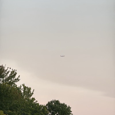 N955NN Boeing 737-800 American Airlines, LGA → CLT, 10 Sept 2026, photographed by Ron