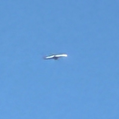 9H-QCK Boeing 737-800 Ryanair, STN → RZE, 8 Oct 2026, photographed by SALT