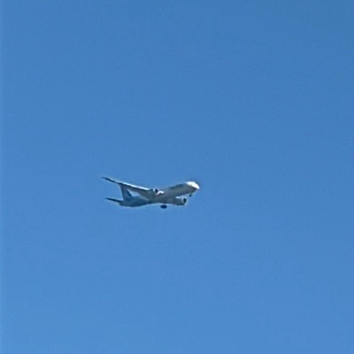 LN-FND Boeing 787-9 Dreamliner IndiGo, DEL → LHR, 5 Sept 2026, photographed by ItsJoshVibes