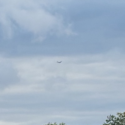 SE-CFP Douglas DC-3 3D Aviation, VBY, 12 Sept 2026, photographed by August M