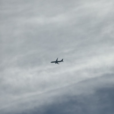 N968AN Boeing 737-800 American Airlines, PIT → CLT, 10 Sept 2026, photographed by Ron