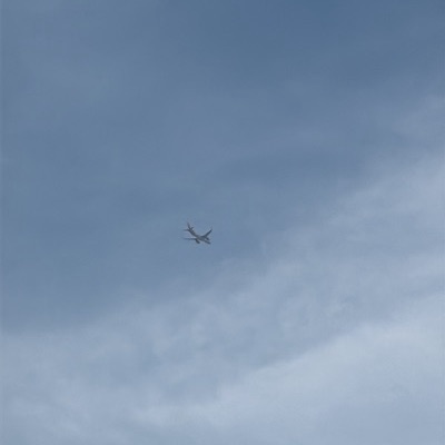 OE-IVD Airbus A320 easyJet, SEN → AMS, 25 Sept 2026, photographed by Bold Pilot