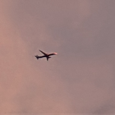 B-16732 Boeing 777-300ER EVA Air, BKK → LHR, 24 Sept 2026, photographed by SALT