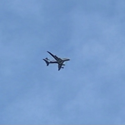 D-AINF Airbus A320neo Lufthansa, FRA → LHR, 4 Oct 2026, photographed by SALT