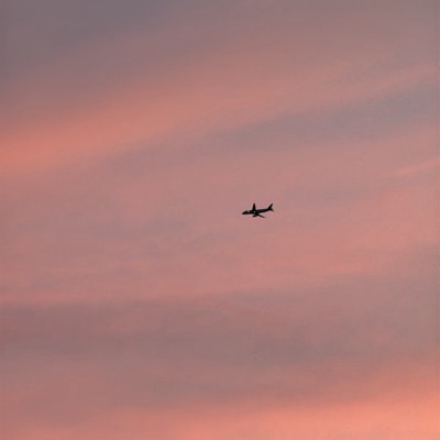 N665AW Airbus A320 American Airlines, ILM → CLT, 10 Sept 2026, photographed by Ron