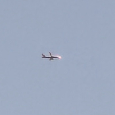EI-DHF Boeing 737-800 Ryanair, STN → RZE, 6 Oct 2026, photographed by SALT