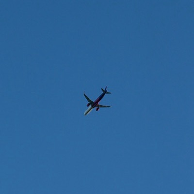 HA-LDE Airbus A321neo Wizz Air, EIN → BUD, 8 Oct 2026, photographed by Tiger Tiger Tiger