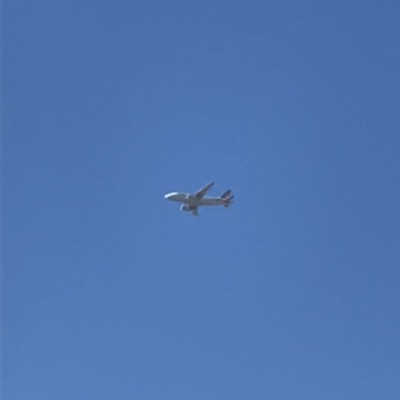 N809AW Airbus A319 American Airlines, DCA → OKC, 21 Sept 2026, photographed by SPUR