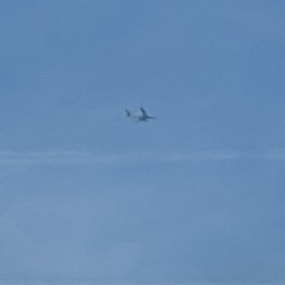 TC-JDO Airbus A330-200 Turkish Airlines, STN → CPH, 25 Sept 2026, photographed by SALT