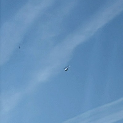 OO-STF Robinson R-44 Raven, 18 Jun 2026, photographed by CaptainHawk17