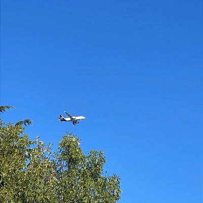 D-AILN Airbus A319 Lufthansa, GVA → FRA, 22 Sept 2026, photographed by MistikAli55
