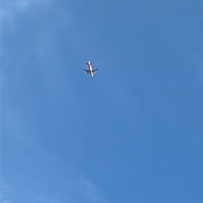 G-EZTH Airbus A320 easyJet, BFS → BHX, 12 Jun 2026, photographed by Zachary Corbett