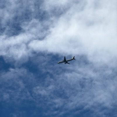 N169UW Airbus A321 American Airlines, DFW → CLT, 12 Sept 2026, photographed by Ron