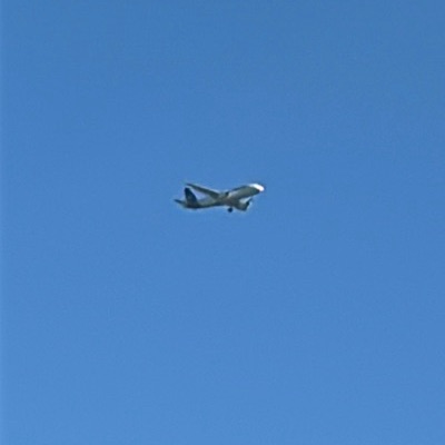 D-AINN Airbus A320neo Lufthansa, FRA → LHR, 5 Sept 2026, photographed by ItsJoshVibes