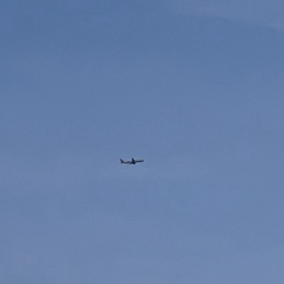 TC-JRM Airbus A321 Turkish Airlines, ARN → IST, 11 Sept 2026, photographed by August M