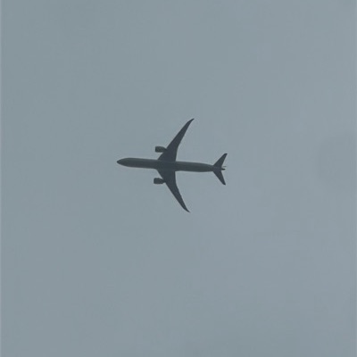 PH-BKP Boeing 787-10 Dreamliner KLM Royal Dutch Airlines, AMS → ORD, 21 Jun 2026, photographed by Captain74715