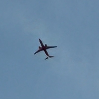 9H-VUE Boeing 737 MAX 8 Malta Air, STN → CIA, 30 Sept 2026, photographed by SALT