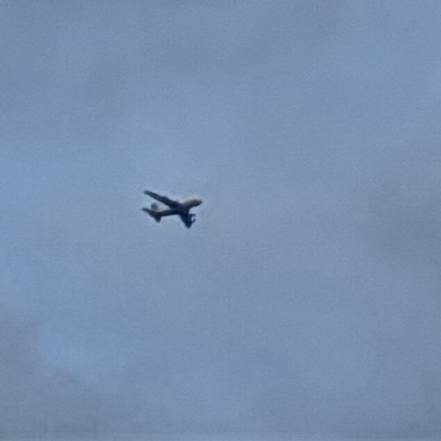A6-APE Airbus A380-800 Etihad Airways, AUH → LHR, 26 Sept 2026, photographed by SALT
