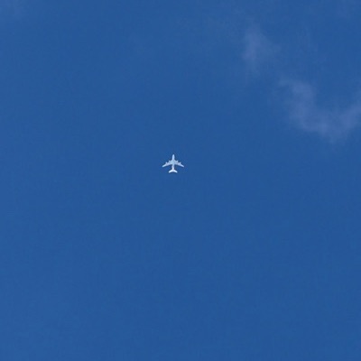 D-AIMA Airbus A380-800 Lufthansa, LAX → MUC, 18 Sept 2026, photographed by Tiger Tiger Tiger