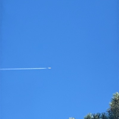 EI-ELA Airbus A330-300 Aer Lingus, DUB → MCO, 26 Sept 2026, photographed by AceStorm24
