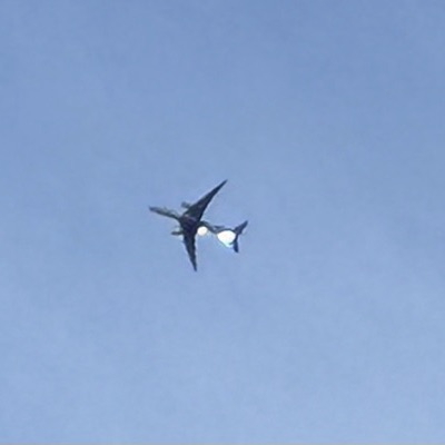 A6-EFY Boeing 777F Emirates SkyCargo, STN → DWC, 8 Oct 2026, photographed by SALT