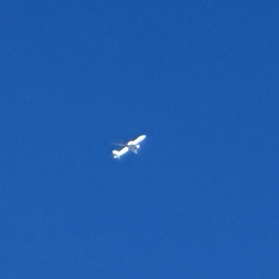 A6-EFZ Boeing 777F Emirates SkyCargo, STN → DWC, 1 Oct 2026, photographed by SALT