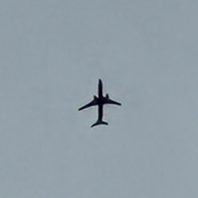 EI-DWR Boeing 737-800 Ryanair, STN → NAP, 8 Oct 2026, photographed by SALT