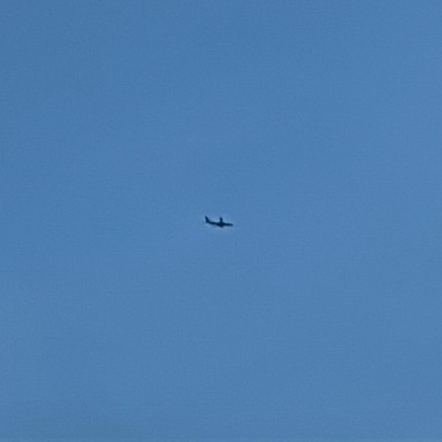 EI-ILV Boeing 737 MAX 8 Ryanair, STN → CIA, 26 Sept 2026, photographed by SALT
