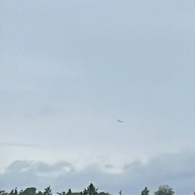OH-LVI Airbus A319 Finnair, HEL → OUL, 13 Sept 2026, photographed by Master Spotter