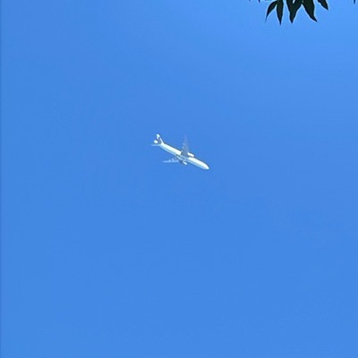 A7-AOE Airbus A350-1000 Qatar Airways, DOH → YUL, 29 Sept 2026, photographed by J’P