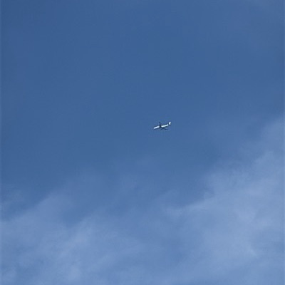 T-056 Airbus A330-200, RZE → BER, 8 Oct 2026, photographed by Japełko